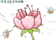 春季花粉过敏高发应对指南