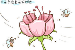 春季花粉过敏高发应对指南