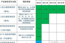 年磨一剑亲历者讲述中国首款九价HPV疫苗研发历程