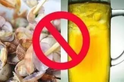 尿酸高不能吃海鲜科学控尿酸指南