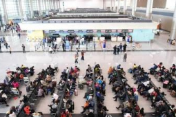 哈尔滨机场假期旅客吞吐量达万同比增长%