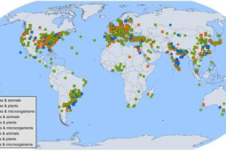 中外科研团队利用大数据分析技术揭示农药生态风险机制