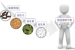 免疫力追求平衡而非极致