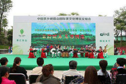 四川马边茶旅融合绘就民族团结新画卷