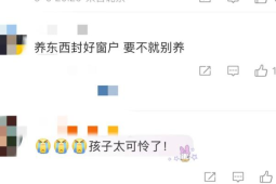 天降乌龟砸中幼童致死头顶安全无小事