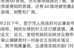 河南武陟县通报村庄亩麦苗被铲除事件