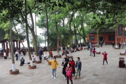 清明假期健康指南：重点预防六大方面