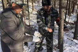 黑龙江多地林区回应盗猎事件称将加强巡护力度