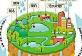 提升城市水安全韧性需治理与制理并重