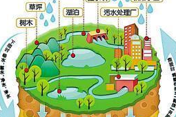 提升城市水安全韧性需治理与制理并重