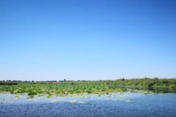 河北白洋淀治理保护成果持续巩固成效显著