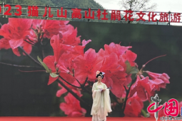 三维赋能启新篇广西猫儿山高山杜鹃花文化旅游季盛装开幕