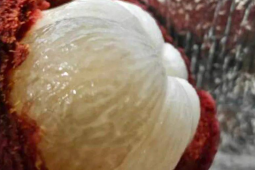 水果变质鉴定指南快转给咱爸妈