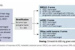 肿瘤专家谈ROS肺癌治疗新突破好药应用在前