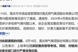 重庆燃气对相关责任人和责任部门进行追责问责