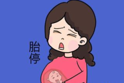 孕期必知五招远离李斯特菌守护母婴健康