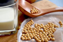 钙含量是牛奶近倍的补钙王者吃它这一点要注意