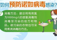 预防诺如病毒感染的关键措施