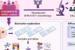 中国专家首创AI模型精准指导乳腺癌新一代用药方案