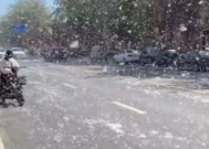 京津冀地区进入杨絮始飞期注意防护