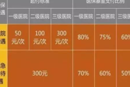 上海医保创新推出新生儿参保免申办服务