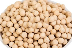 白芸豆真的能减肥吗