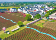 低空经济赋能乡村振兴新路径