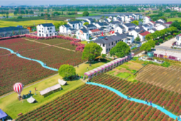 低空经济赋能乡村振兴新路径