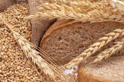 全谷物营养丰富别再错过健康饮食新选择