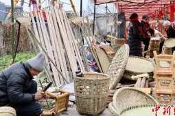 棒棒会上觅花趣川兰第一早市浪漫迎春