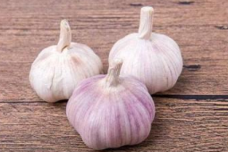 晒太阳致癌与吃大蒜防癌真相揭秘