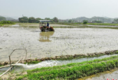 广西启动农业干旱Ⅳ级应急响应多措并举抗旱保春耕