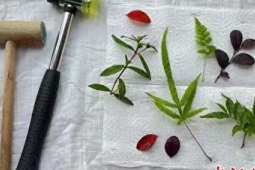 山西省科技馆假期开启春日科学探索之旅