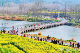 远安马拉松万人花海迎春奔跑