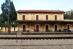 中越米轨铁路百年变迁谱写合作新篇章