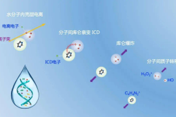 重离子治癌中国科学家领衔揭示微观机理