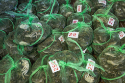 五一这五类人最好别出门原因让人意想不到