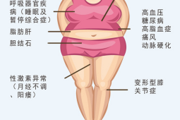 肥胖危害女性健康更甚
