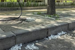 飞絮肆虐扰民火灾隐患丛生如何破解