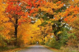 北方气温起伏明显南方将迎新一轮降雨缓解干旱