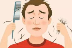 长期错误饮食或成脱发元凶