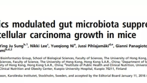香港大学研究团队开发突破性癌症免疫新疗法 第1张 香港大学研究团队开发突破性癌症免疫新疗法 第1张