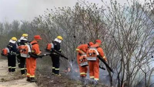 广东多措并举强化森林防灭火工作部署 第1张 广东多措并举强化森林防灭火工作部署 第1张