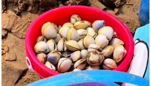 五一假期首日全国大部天气晴好北方多风需防风防火 第1张 五一假期首日全国大部天气晴好北方多风需防风防火 第1张