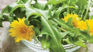 这些食物可能是结节催化剂一定要管住嘴 第1张 这些食物可能是结节催化剂一定要管住嘴 第1张