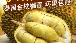 斤榴莲斤核买金枕当心甲仑 第1张 斤榴莲斤核买金枕当心甲仑 第1张