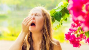春季花粉过敏困扰市民生活需重视 第1张 春季花粉过敏困扰市民生活需重视 第1张
