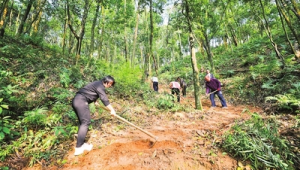科普力量助力粤北山区乡村振兴 第1张 科普力量助力粤北山区乡村振兴 第1张