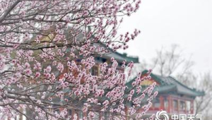 天津官宣入春时间较常年提前天 第1张 天津官宣入春时间较常年提前天 第1张