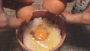 无菌蛋真的无菌吗生吃营养或许不如熟吃普通蛋